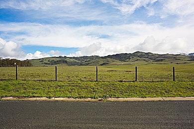 苍火龙登场 《怪物猎人 Now》2024年1月活动时间表公开